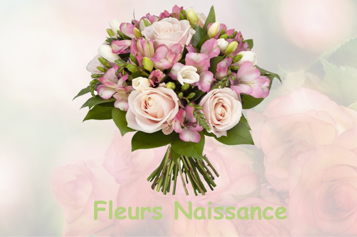 fleurs naissance RIEUMES