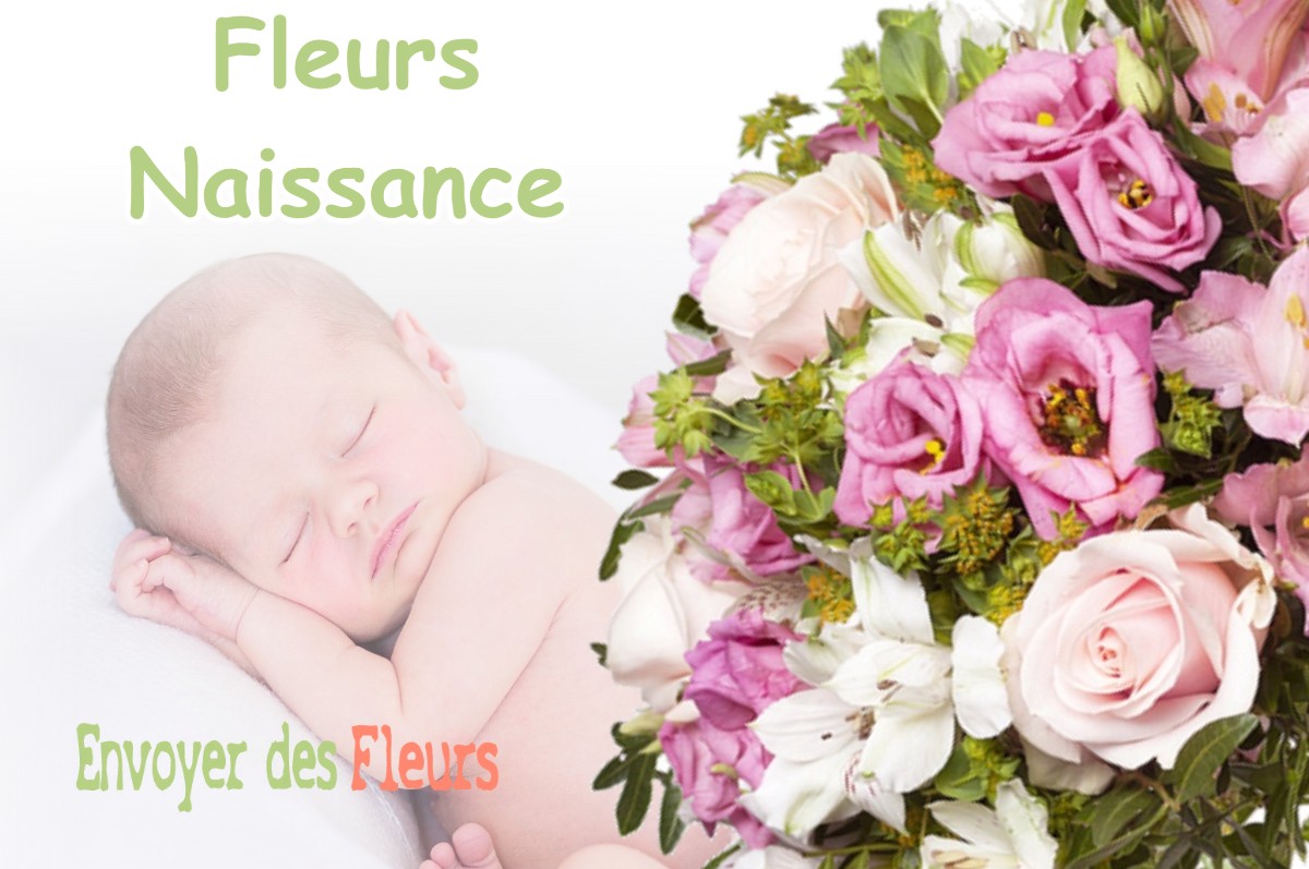 lIVRAISON FLEURS NAISSANCE à RIEUMES